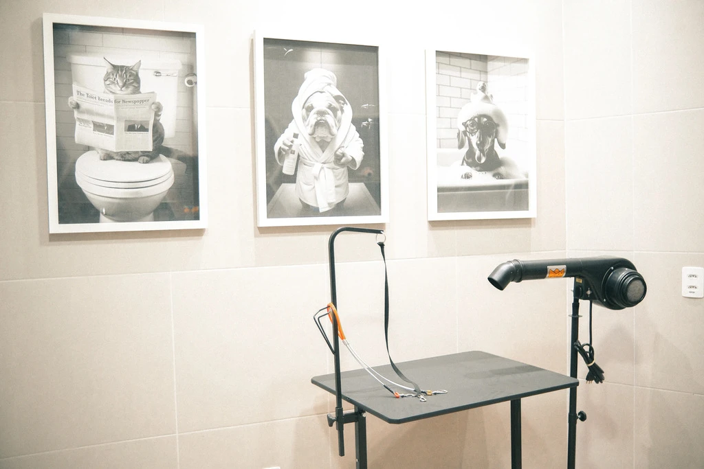 quality-construtora-e-incorporadora-guarapari-es-apartamentos-imoveis-praia-imagem-3d-empreendimento-brise-pet-home-care-1-1024x683px